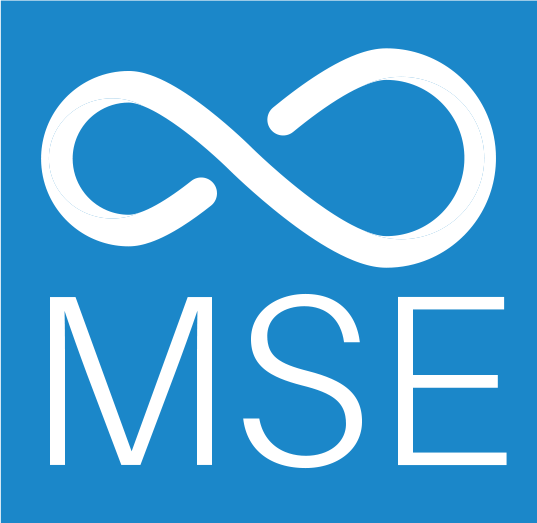 Maldives Stock Exchange logo