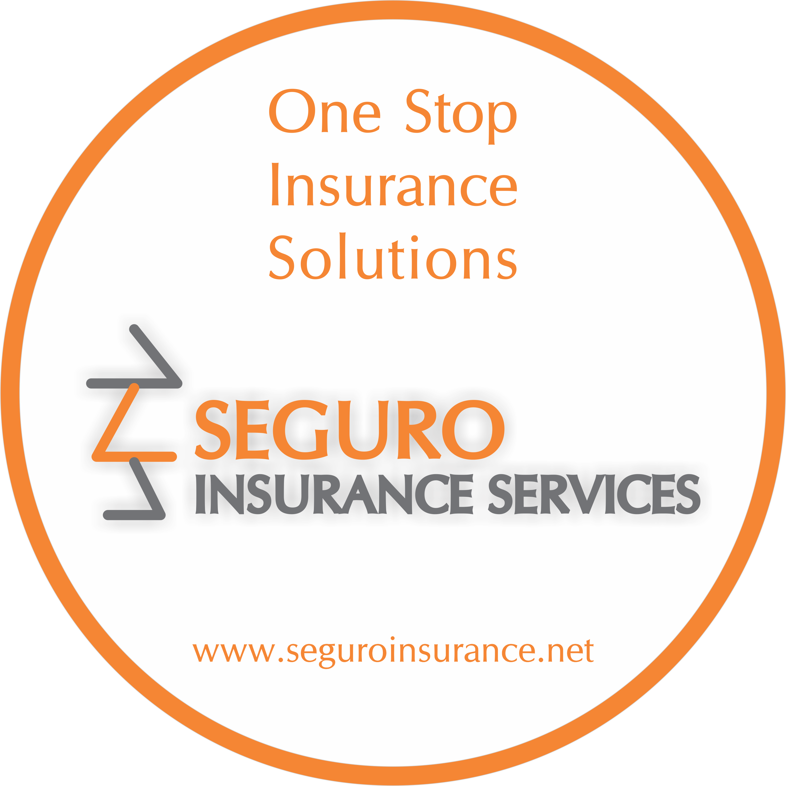 Seguro Insurance Services Pvt Ltd logo