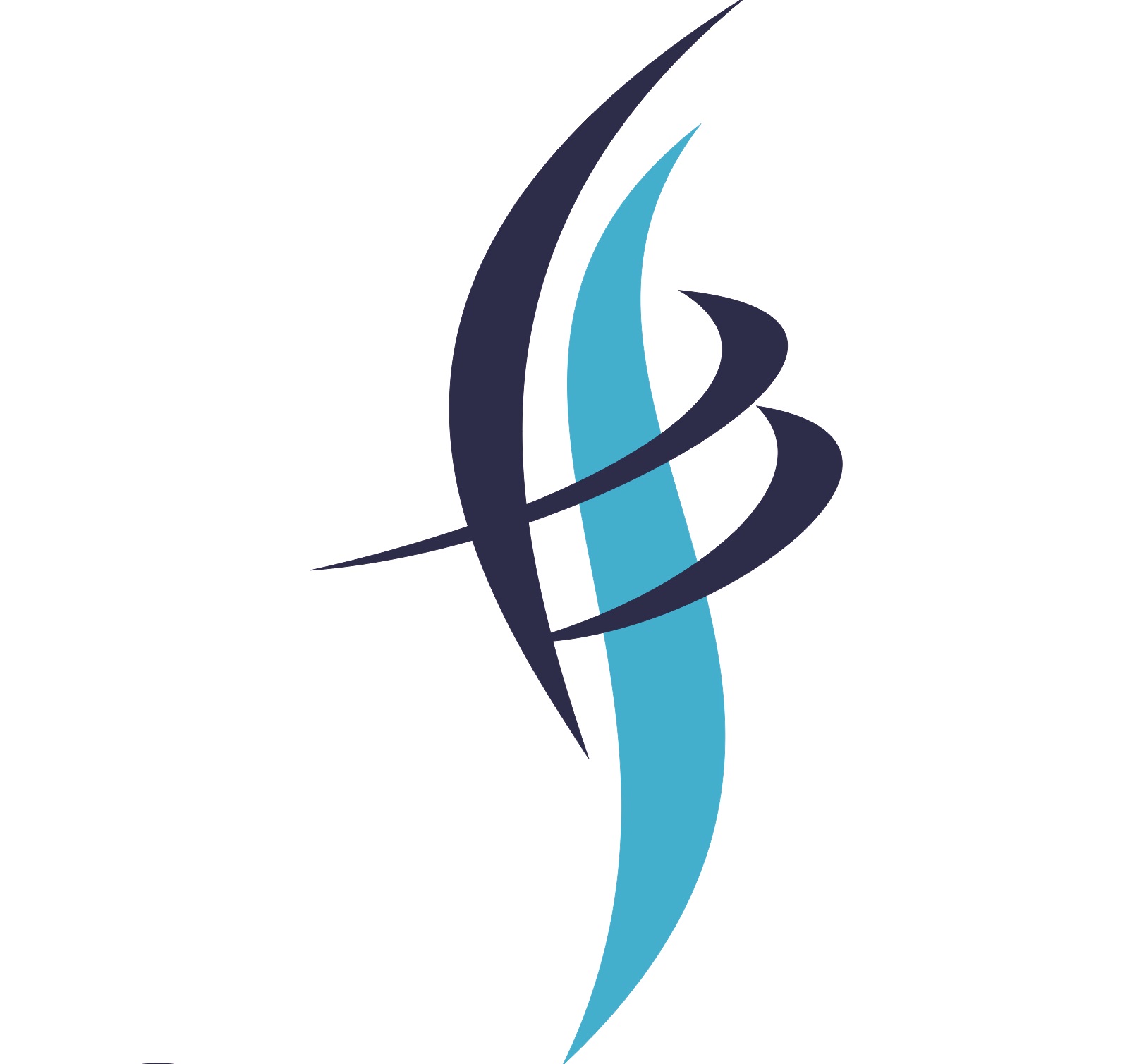 Chicano Investment Pvt Ltd logo