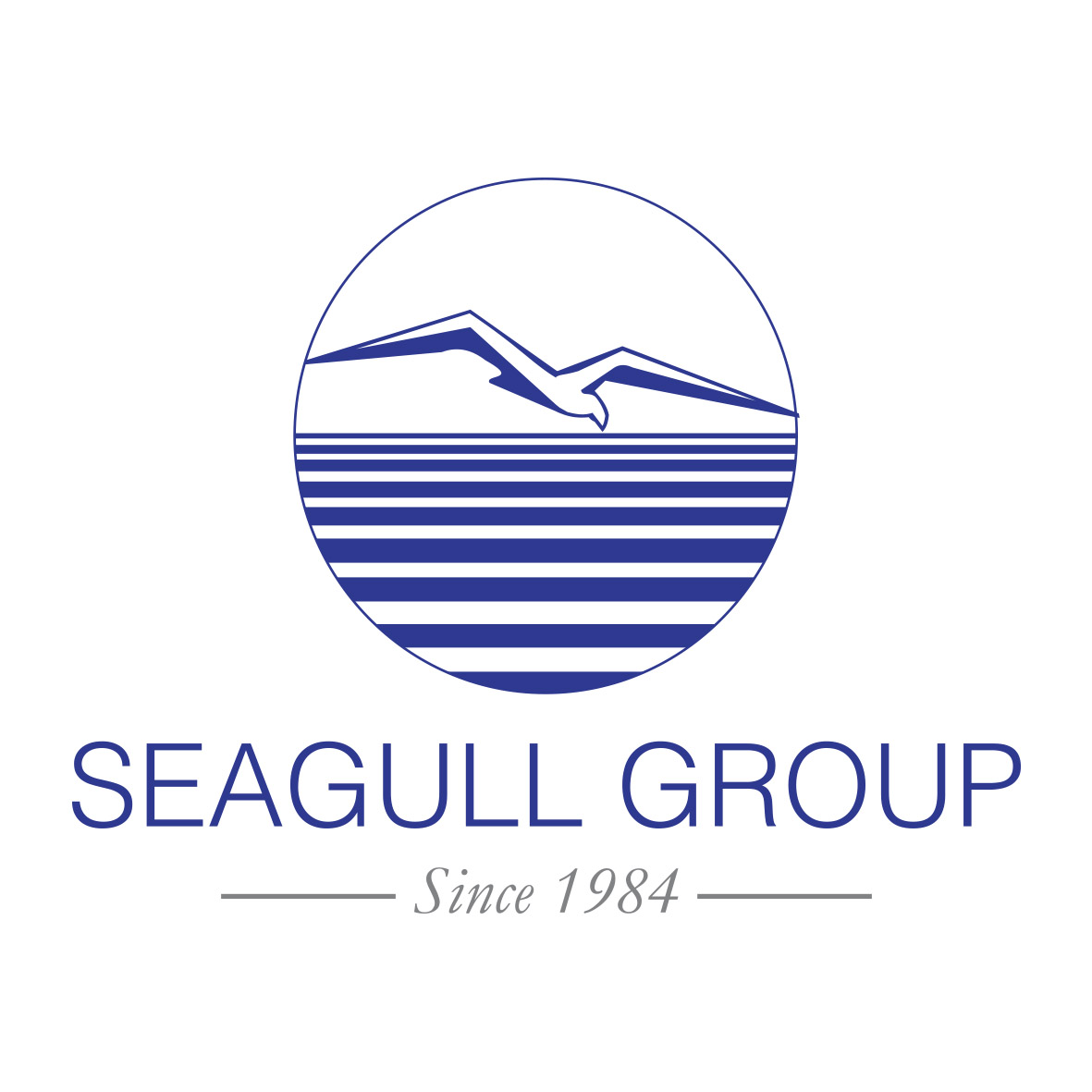 Seagull Group Pvt Ltd logo